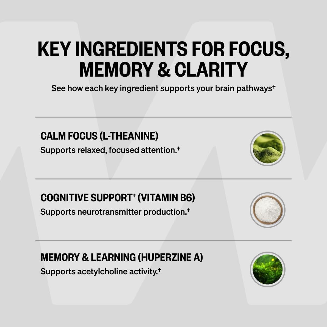 ONNIT Alpha Brain Nootropic Brain Supplement for Focus & Memory, 90 Count