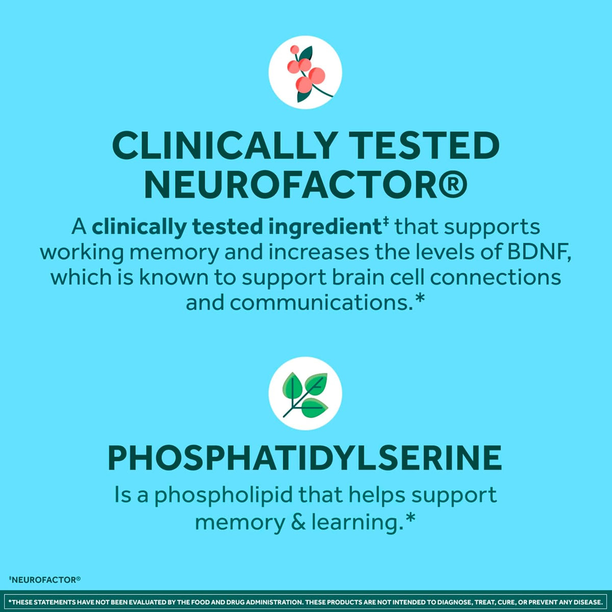 NEURIVA Plus Brain Supplements for Memory and Focus, Clinically Tested Nootropics Neurofactor and Phosphatidylserine, with Vitamin B12, Vitamin B6 and Folic Acid, 30 Count Capsules
