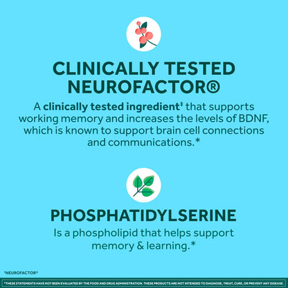NEURIVA Plus Brain Supplements for Memory and Focus, Clinically Tested Nootropics Neurofactor and Phosphatidylserine, with Vitamin B12, Vitamin B6 and Folic Acid, 30 Count Capsules