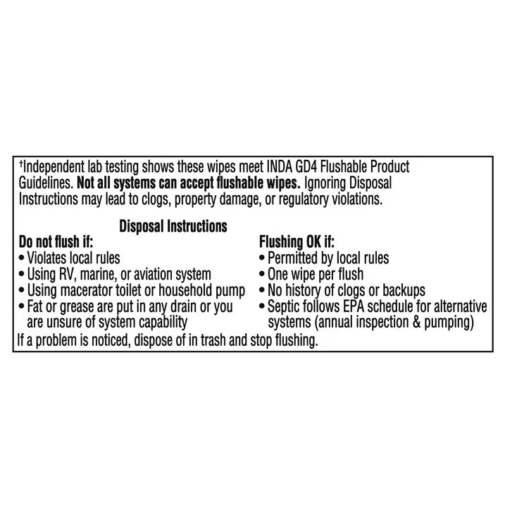 Equate Extra Large Flushable Wet Wipes, Cool Mint Scent, Fresh Cleansing Bathroom Wipes, 144 Count, 3 Pack